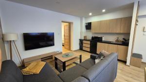 a living room with a couch and a tv at Apartamenty Intermo Górna 7 in Świętochłowice