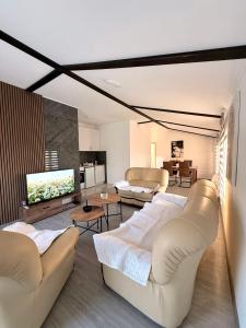 a living room with couches and a flat screen tv at AZA holiday in Kotor