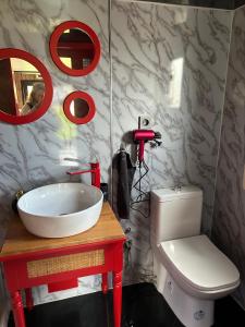 ein Badezimmer mit Waschbecken und Toilette in der Unterkunft Tiny Haus Speyer in Langenselbold