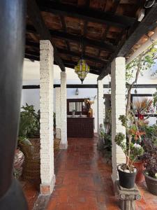 a porch with white pillars and a ceiling with plants at Casa Portillo in Puerto Vallarta