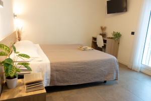 a bedroom with a bed and a table and a tv at Hotel Nemo in Misano Adriatico