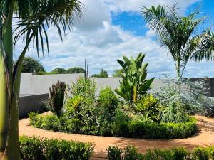 a garden with a bunch of plants and palm trees at Maison De luxe in Thohoyandou