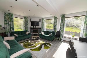 a living room with green couches and a tv at Hanul Doctorului Badeni-Runcu in Runcu