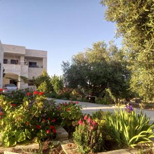a garden of flowers in front of a building at البيت الريفي near ma'in hot springs in Madaba