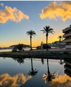 a reflection of palm trees in a body of water at Camino de Santiago Can Pau Costa Brava in Llança