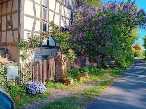 a building with purple flowers next to a fence at Gemütliche Ferienwohnung in Ranstadt in Ranstadt