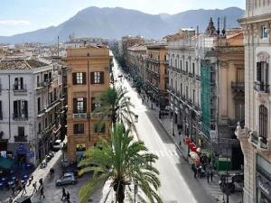 una calle de la ciudad con edificios y una palmera en Dolce casa centro storico di Palermo new 2023, en Palermo