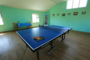 a ping pong table with a hat on top of it at Maikhan Tolgoi lodge in Horgo