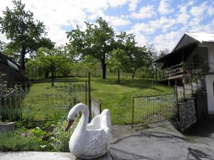 Zahrada ubytování Apartman Marko