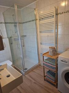 a bathroom with a shower and a sink at Ellens Farm in Kolkwitz +5 photos