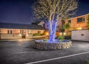 a blue lighted tree in the middle of a parking lot at Bryn Awel Caravan Park in Pentraeth