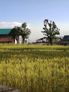 ein Grasfeld mit einem Haus und einem Baum in der Unterkunft CloudHaus Bir Private 3BHK Villa Mountain Views in Bir
