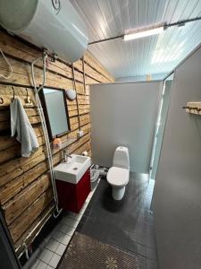 a bathroom with a toilet and a sink and a mirror at Rüütli kodumajutus in Paide