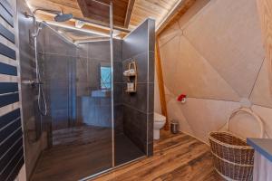a bathroom with a shower and a toilet at Alpin D'Hôme Hôtel & Spa in Les Orres +100 photos