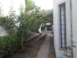 an alley with a tree and a window at Las Acacias De Santa Rosa in Santa Rosa +2 photos