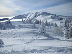 a snow covered mountain with trees in the distance at COLIVING - Private Suite Bathroom - Toilet in Saint-Jean-de-Gonville