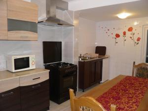Kuchyň nebo kuchyňský kout v ubytování Apartman Marko