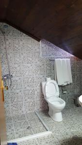 a bathroom with a toilet and a shower at Hotel Bujtina e Bardhe in Korçë