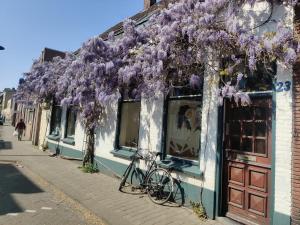 a bike parked on the side of a building with purple flowers at Frank's Backpackers in Helmond