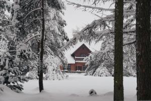 a cabin in the snow with snow covered trees at Na Wysokiej Górce- Agroturystyka in Grabowiec