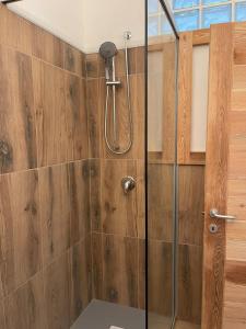 a shower with a glass door in a bathroom at Seandre Holiday Apartments in Prada +20 photos