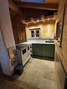 a kitchen with a stove and a stove top oven at Blockhütte bei den Hühnchen in Rötz