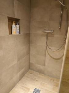 a shower with a shower head in a bathroom at Blockhütte bei den Hühnchen in Rötz