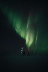 an aurora in the sky with trees in the foreground at Ainur Villas in Saariselka +80 photos