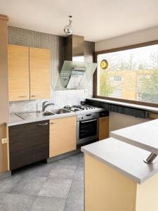 a kitchen with a sink and a stove and a window at Douce escale lumineuse à Nancy in Nancy