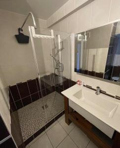 a bathroom with a glass shower and a sink at Douce escale lumineuse à Nancy in Nancy