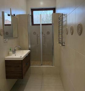 a bathroom with a shower and a sink at Solar in Skhidnitsa +25 photos