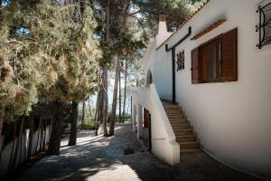 a building with stairs and a window and trees at Villa Elefante in Isole Tremiti
