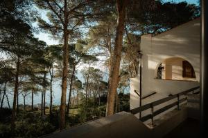 a room with a view of the water and trees at Villa Elefante in Isole Tremiti +37 photos