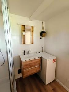 a small bathroom with a sink and a refrigerator at Südsteirer Suite in Bad Radkersburg +14 photos