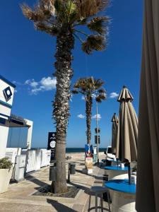 two palm trees and tables and umbrellas on the beach at White House in Torre Canne