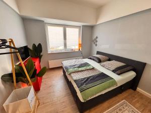 a bedroom with a bed and a window at Fuchsbau Komfort Zimmer in Nordhausen