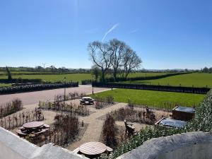 a view of a garden with umbrellas in a park at Ballymullock Barn Lofts in Carncastle