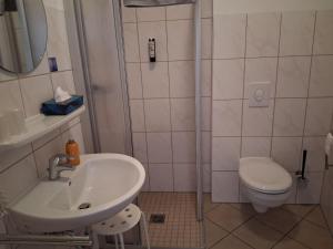 a bathroom with a sink and a toilet at Pension Hösl in Mitterteich +11 photos