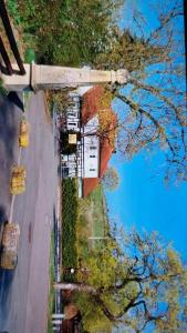 an overhead view of a street with a tree at Marienthal in Ingersleben