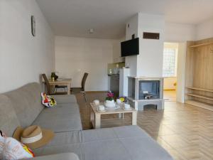 a living room with a couch and a fireplace at Domki i Apartamenty WiR na Kaszubach in Chmielno