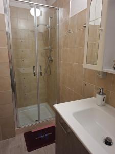 a bathroom with a shower with a sink and a counter at Da Daniela in Storo +4 photos
