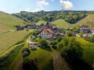 an aerial view of a small village in the hills at Ferienwohnung im Obergeschoss in Durbach