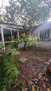 a garden in front of a house with a tree at Ciza - Departamento Temporario en Paraná in Paraná +17 photos