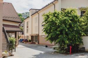 a tree in front of a building next to a street at Modern Studio near Old Town in Braşov