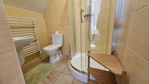 a bathroom with a shower and a toilet and a sink at Oberża Pod Kudłatym Aniołem in Cisna +63 photos
