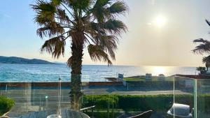 a palm tree with the ocean in the background at Hôtel La Plage in Sainte-Maxime