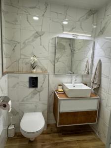 a bathroom with a sink and a toilet and a mirror at Aneva home in Ruse