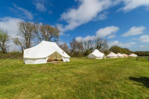 a group of white tents in a field at Boscoppa Farm-Emperor Tent No2 in Trethurgy