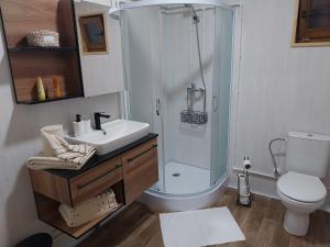 a bathroom with a shower and a sink and a toilet at Drvena Oaza in Gornja Toplica +28 photos