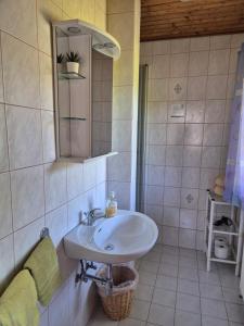a bathroom with a sink and a mirror at Klein Schöntal in Göstling an der Ybbs +47 photos